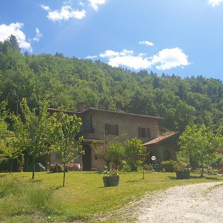 B&B Il Bagarello Палаццуоло-суль-Сенио Экстерьер фото