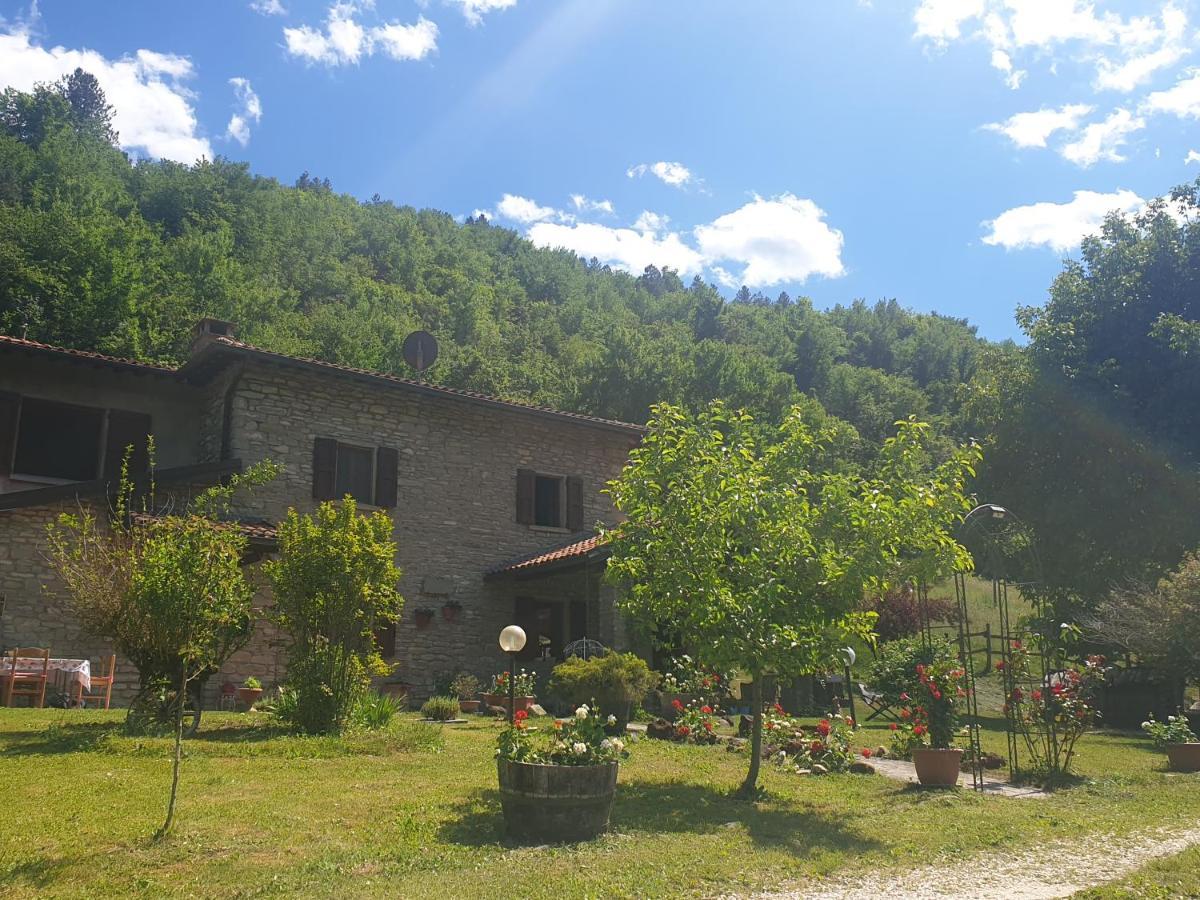B&B Il Bagarello Палаццуоло-суль-Сенио Экстерьер фото